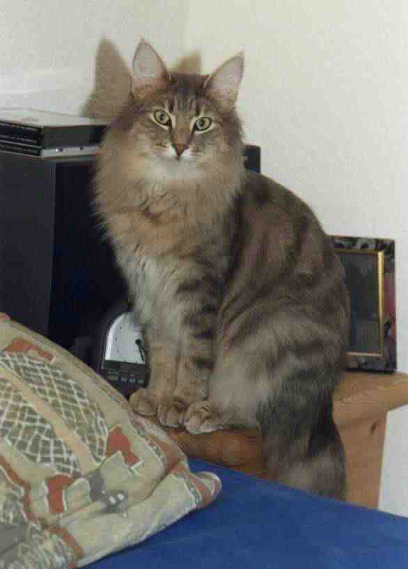 copyright: Ramona Brinkmann