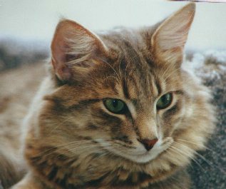 copyright: Daniela Demke