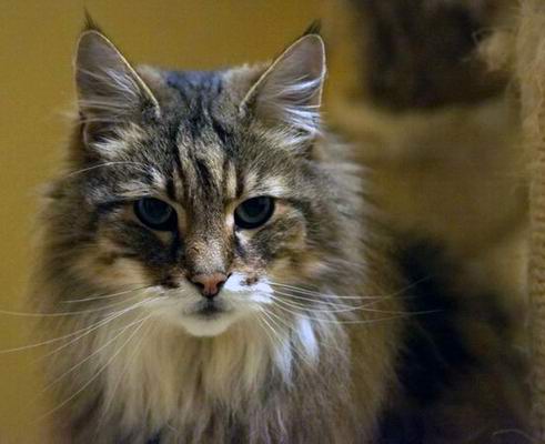 copyright by Anke & Stefan Giehr