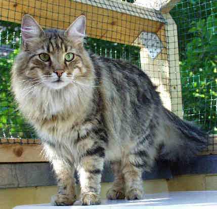 copyright: Stefan Giehr