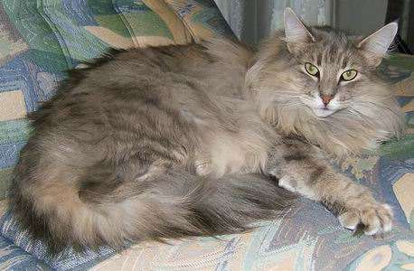 copyright: Ramona Brinkmann