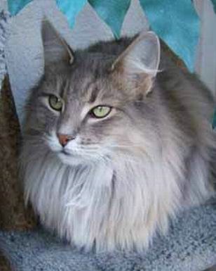 copyright: Ramona Brinkmann