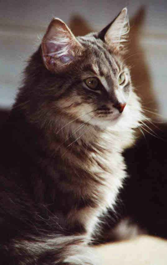 copyright: Daniela Demke