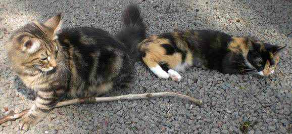 copyright: Dieter & Conny