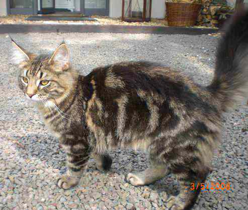 copyright: Dieter & Conny