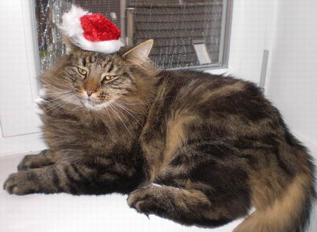 copyright: Dieter & Conny