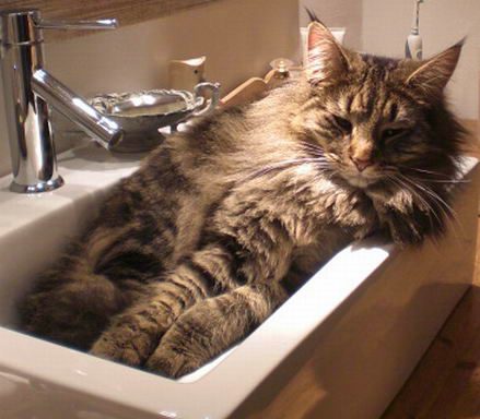 copyright: Dieter & Conny