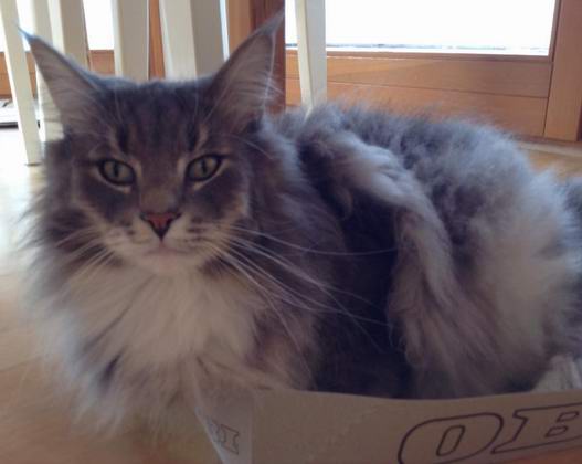 copyright: Fam. Altherr