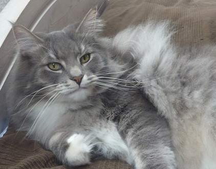 copyright: Fam. Altherr