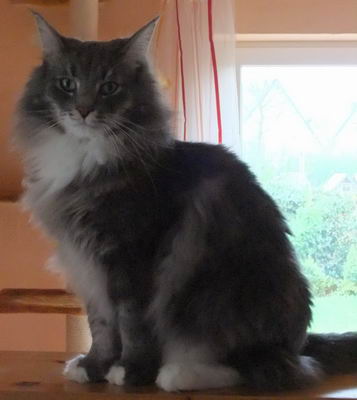 copyright: Fam. Altherr