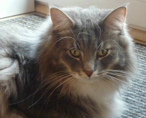 copyright: Fam. Altherr