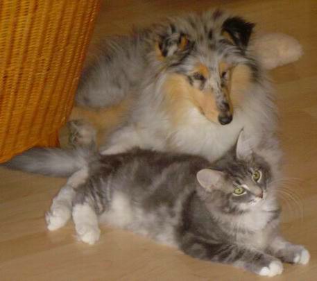 copyright: Fam. Altherr