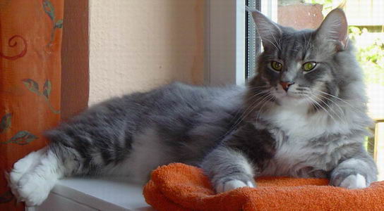 copyright: Fam. Altherr