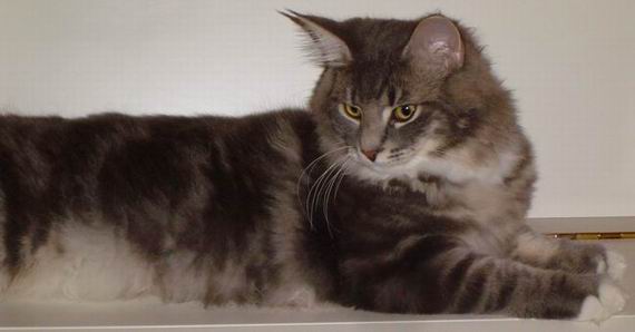 copyright: Fam. Altherr