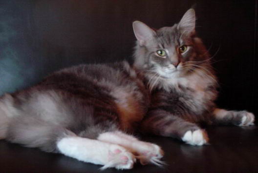 copyright: Fam. Altherr