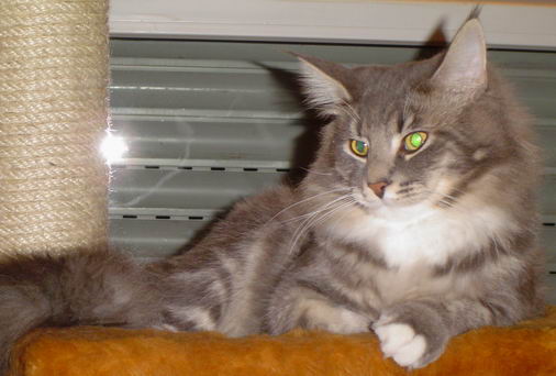 copyright: Fam. Altherr