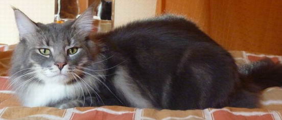 copyright: Fam. Altherr