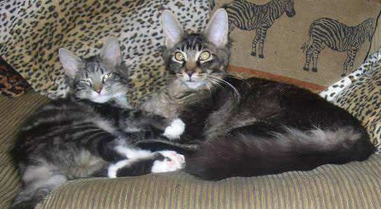 copyright: Familie Nonn