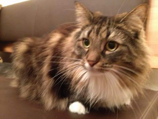 copyright: Familie Nonn