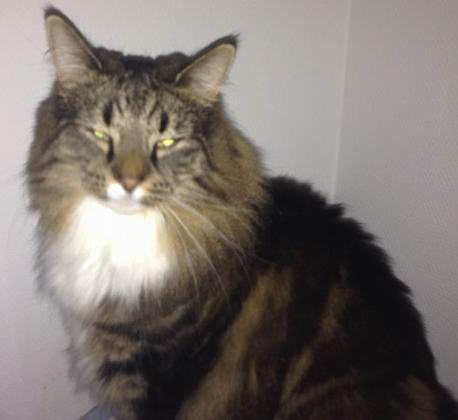 copyright: Familie Nonn