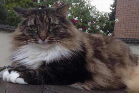 copyright: Familie Nonn