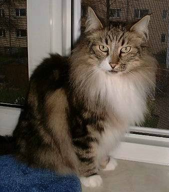 copyright: Ramona Brinkmann