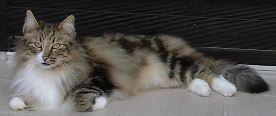 copyright: Ramona Brinkmann