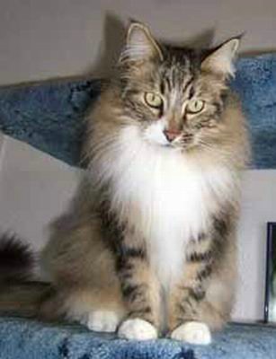 copyright: Ramona Brinkmann