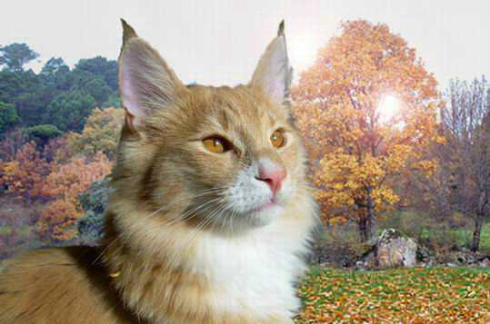 copyright: Raquel Serrano