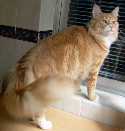 copyright: Raquel Serrano