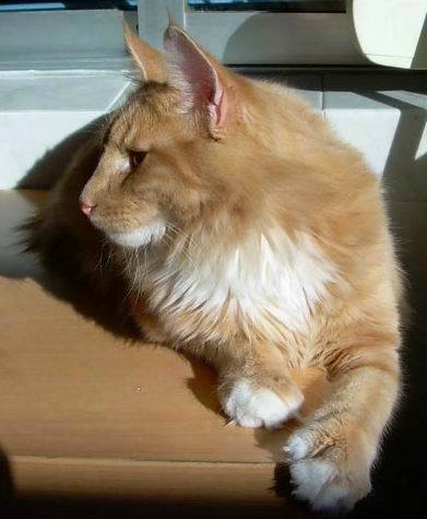 copyright: Raquel Serrano