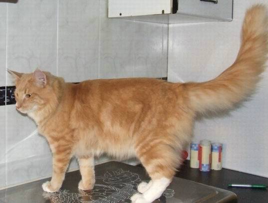 copyright: Raquel Serrano