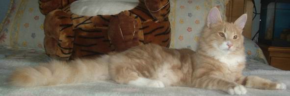 copyright: Raquel Serrano