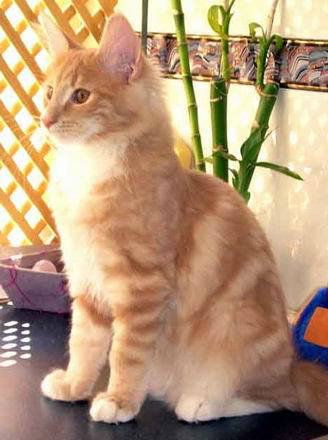 copyright: Raquel Serrano