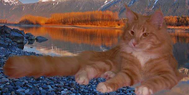 copyright: Raquel Serrano