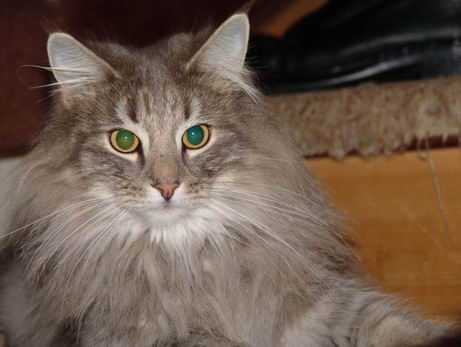 copyright: Ute Pfohl