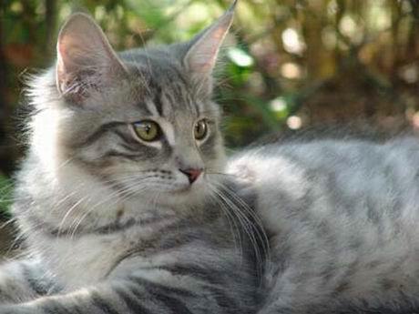 copyright: Ute Pfohl