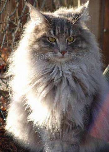 copyright: Ute Pfohl