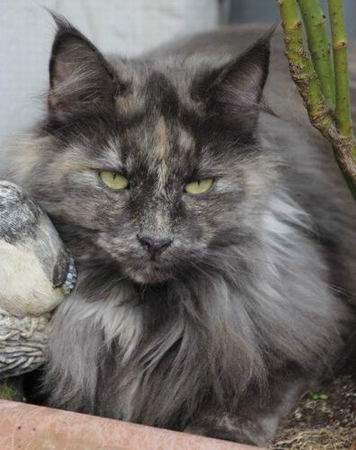 copyright: Gaby Gcke