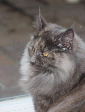 copyright: Gaby Gcke