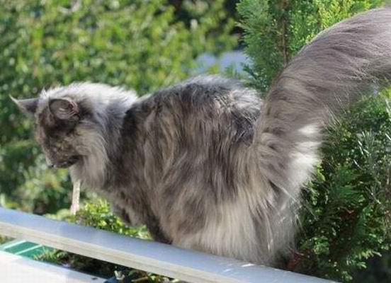 copyright: Gaby Gcke