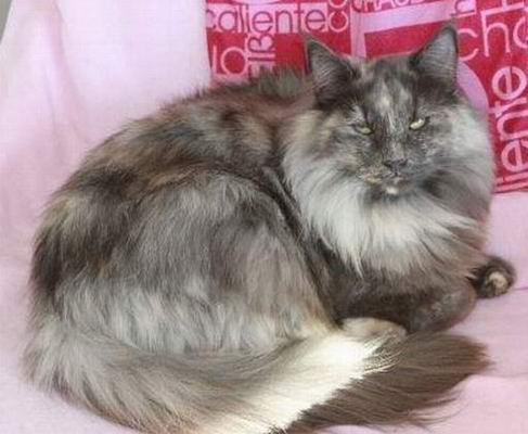 copyright: Gaby Gcke