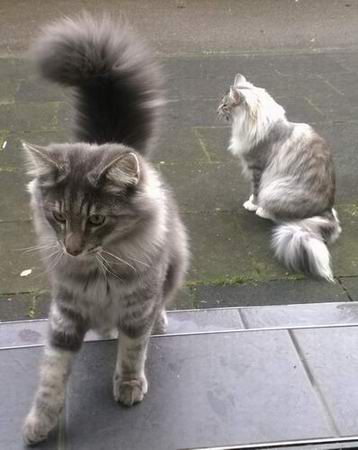 copyright: Heike & Dietmar