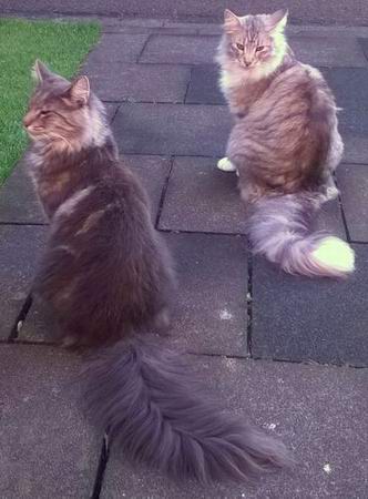 copyright: Heike & Dietmar