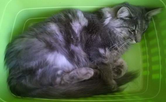 copyright: Heike & Dietmar