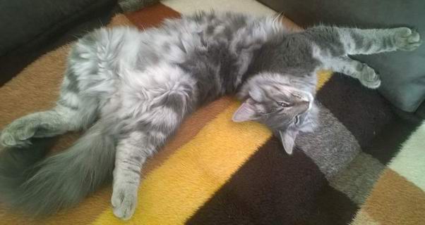 copyright: Heike & Dietmar