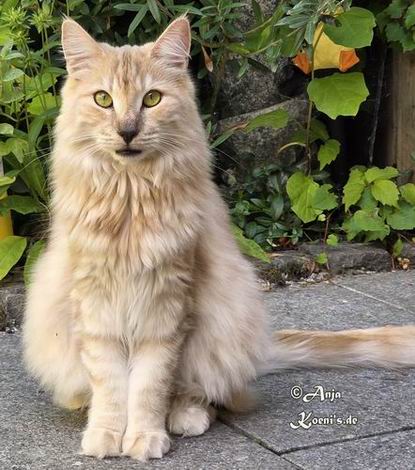 Gianna - 1 year + 4 months old