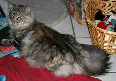 copyright: Fam. Kern