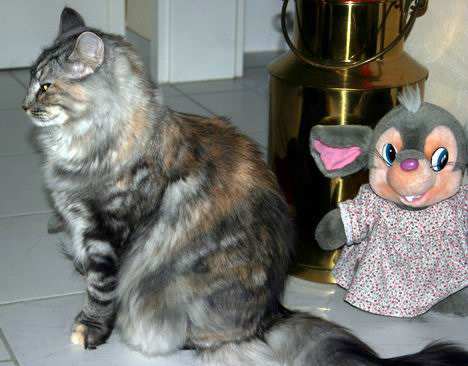 copyright: Fam. Kern