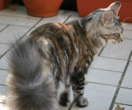 copyright: Fam. Kern